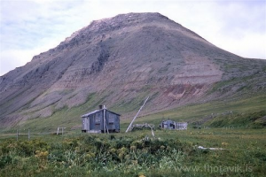 Fljótavík, Júlíusarhús fjær, Jósefshús nær, Kögur í baksýn,